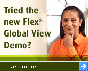 Flex Global View Demo